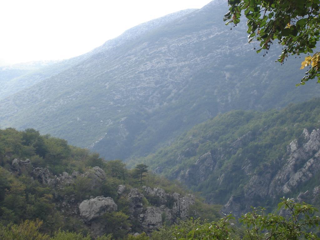 Holiday Home Paklenica Starigrad Paklenica Oda fotoğraf