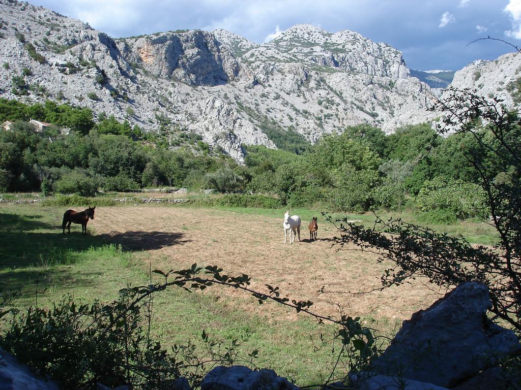 Holiday Home Paklenica Starigrad Paklenica Oda fotoğraf