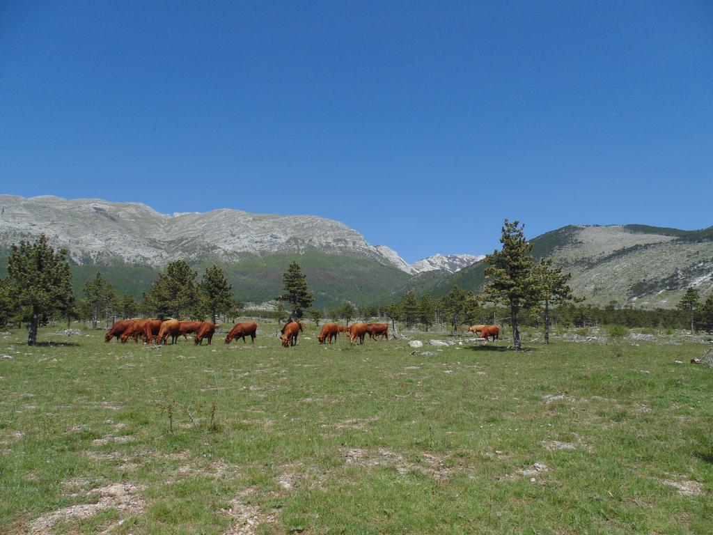 Holiday Home Paklenica Starigrad Paklenica Dış mekan fotoğraf