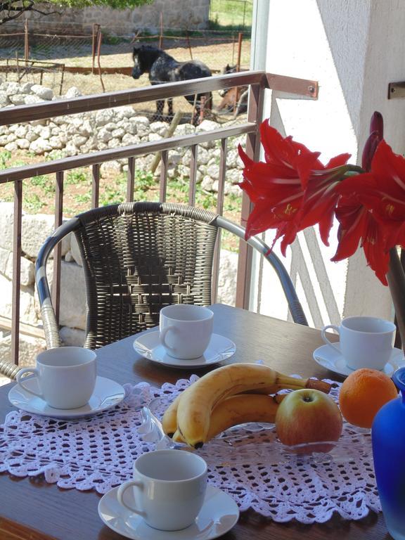 Holiday Home Paklenica Starigrad Paklenica Dış mekan fotoğraf