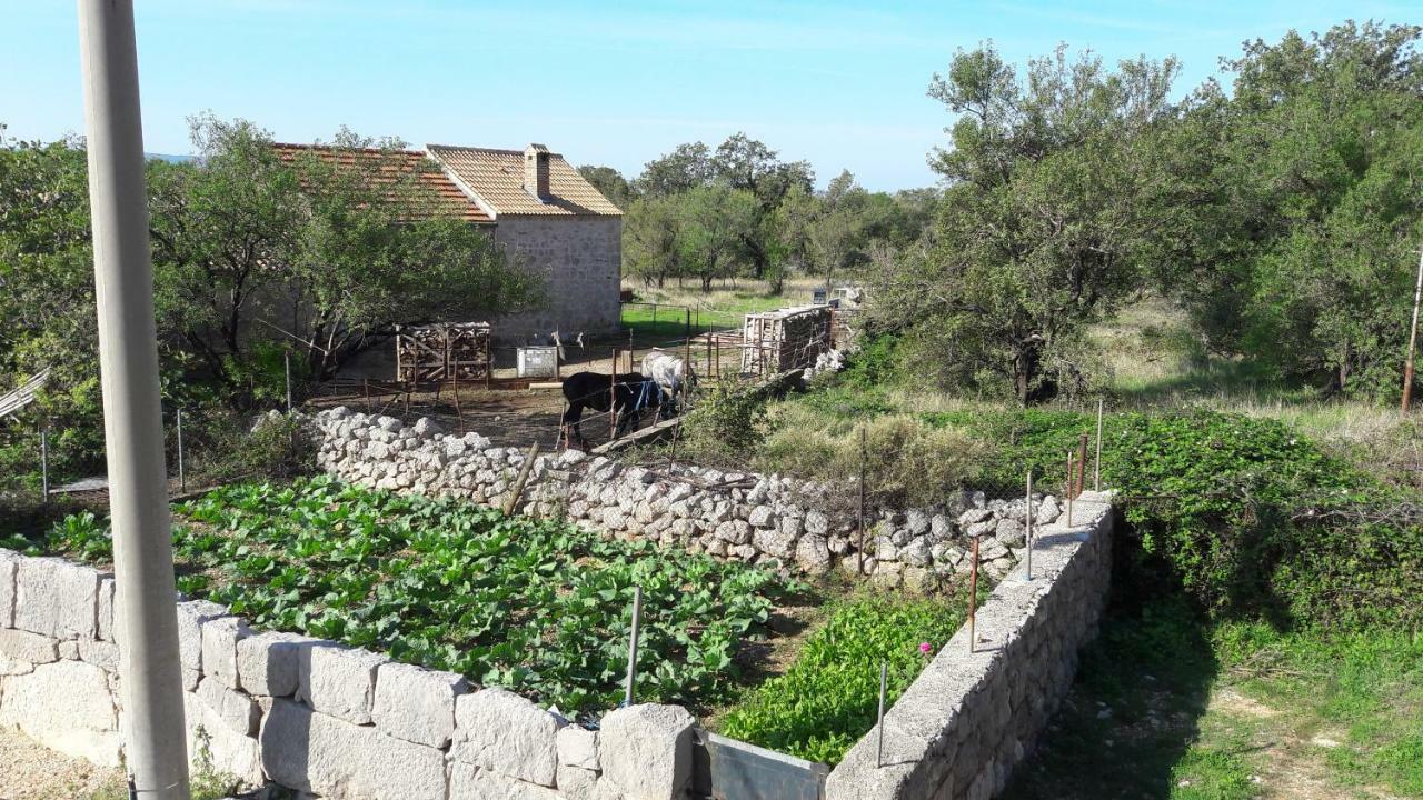 Holiday Home Paklenica Starigrad Paklenica Dış mekan fotoğraf