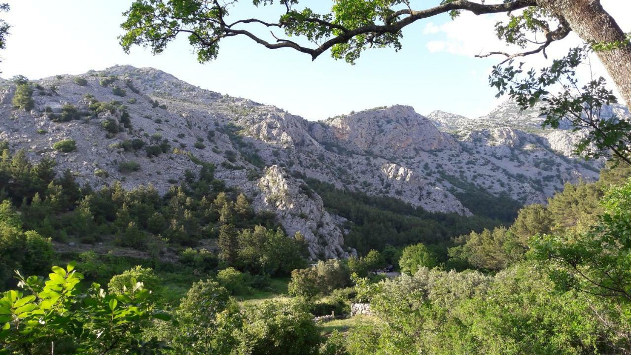 Holiday Home Paklenica Starigrad Paklenica Dış mekan fotoğraf